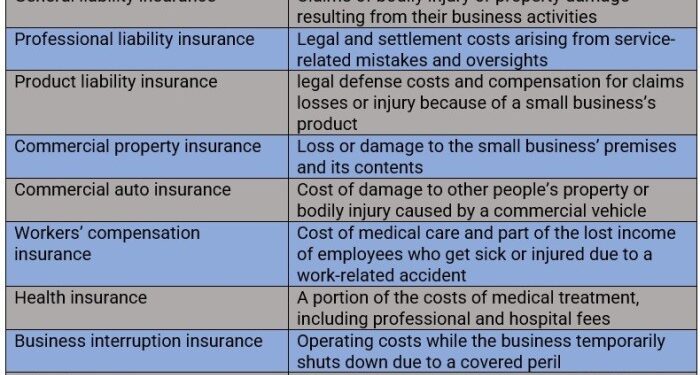 Everything you need to know about insurance for small businesses ...