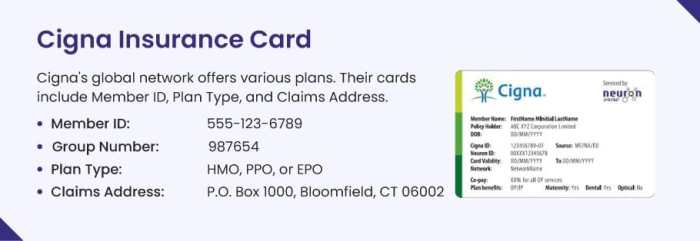 How to Read a Patient's Health Insurance Card? [Complete Guide] - BellMedEx