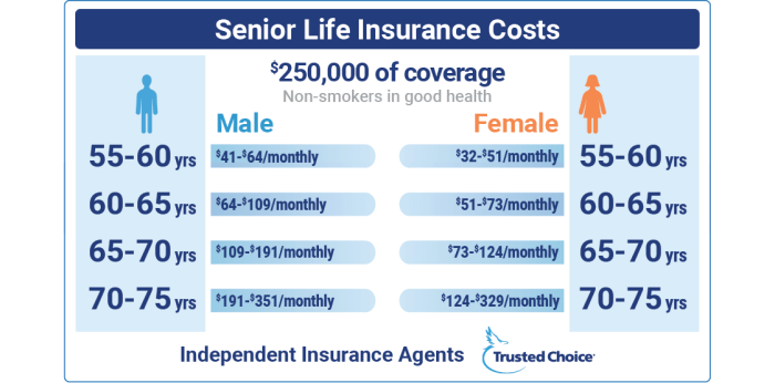 Best Life Insurance for Seniors in 2025 | Trusted Choice